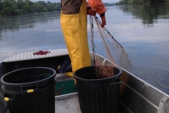 Barco pesca de alumínio (103)